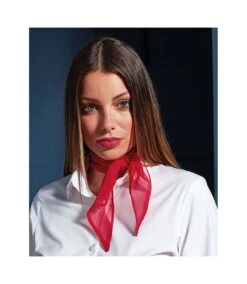 Premier® Premier Ladies/Womens Work Chiffon Formal Scarf (Red) (One Size) -Featured Women's Clothing Stores 0BB8D8CCAB1DCA474522BFF9AF1D88B5CA8D19B41FBEC8D144018B3FCFC38E96