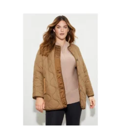 Dorothy Perkins Womens/Ladies Contrast Collarless Plus Padded Jacket (Chocolate) -Featured Women's Clothing Stores 22D06DB89359886FB232E93326B0EFE5E4213E1F2A3CF4602BC77AAE896DB96B