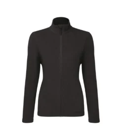 Premier® Premier Womens/Ladies Recyclight Full Zip Fleece Jacket (Black)