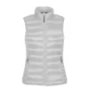 Stormtech Womens/Ladies Basecamp Thermal Quilted Gilet (Titanium)