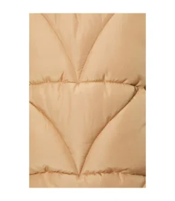 Dorothy Perkins Womens/Ladies Padded Short Coat (Camel) -Featured Women's Clothing Stores 8675C6B46A2AB8A932DC27FCD5403C3D185CF729F30A7FB51E1BEFF2F98DEC91