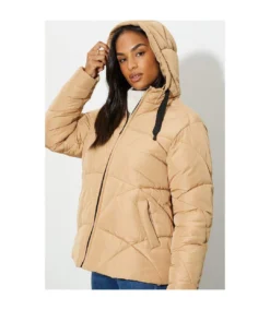 Dorothy Perkins Womens/Ladies Padded Short Coat (Camel) -Featured Women's Clothing Stores 888AFDF949532A8EC5C2A171FDD7B5AFB79A898C55B7EDCA6CD04041D6025235