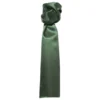 Premier® Premier Scarf - Ladies/Womens Plain Business Scarf (Bottle) (One Size)
