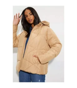 Dorothy Perkins Womens/Ladies Short Padded Jacket (Camel) -Featured Women's Clothing Stores D0FFAE053729A486908F85C4C47D72DF8D7305D2EB0C8D186ACE17D0C8B11A95