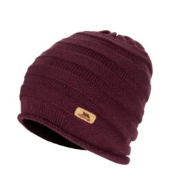 Trespass Womens/Ladies Escalera Beanie (Fig)