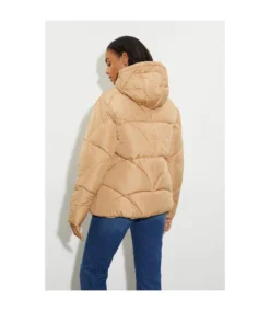 Dorothy Perkins Womens/Ladies Short Padded Jacket (Camel) -Featured Women's Clothing Stores F7E0C47B5B2167CDD96B2C84E9FC5F0CEE82F7D00E878C8899053AD5FB80D146